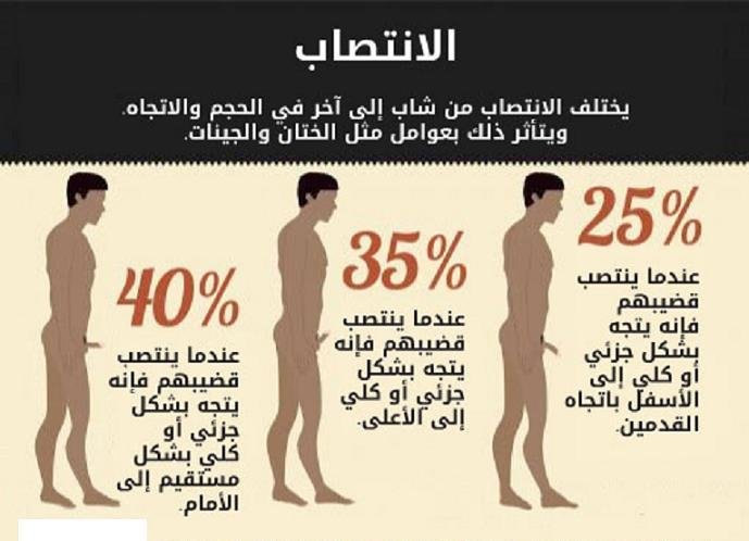 الانتصاب عند الرجل بالصور