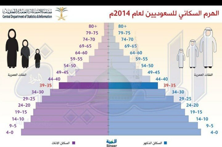 Fay3 - الهرم السكاني للسعوديين لعام ٢٠١٤ #انفوجرافيك