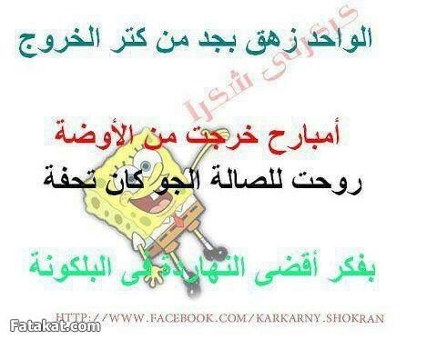 قمة الزناخة