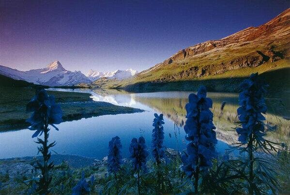 The Swiss Alps