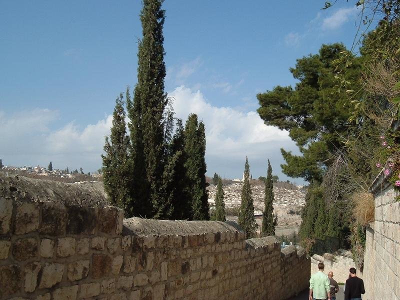 Passion of the Christ Road #2