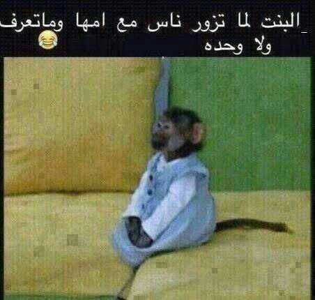هيك شكل البنات بكون