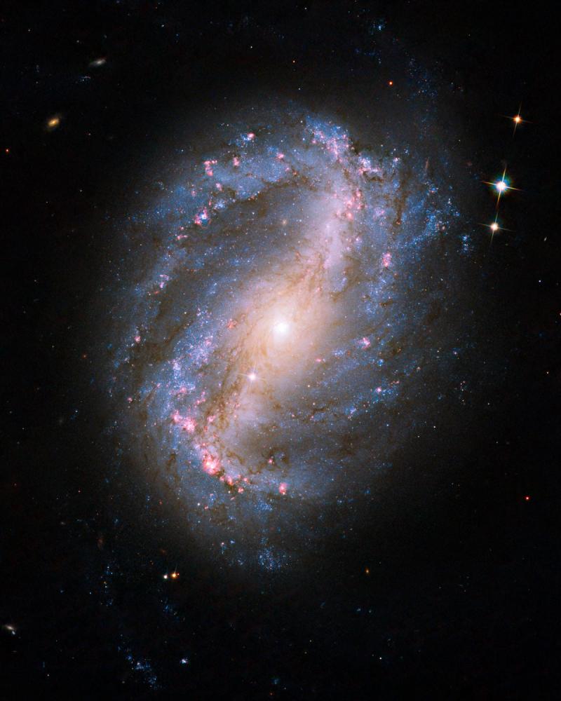 Barred spiral galaxy NGC 6217 - space