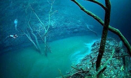 There are underwater rivers flowing along the bottom of the ocean