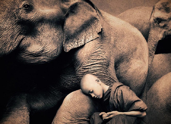 مصور يدمج صور بشر مع حيوانات تحت عنوان -Coming Together Like One - صورة ٣