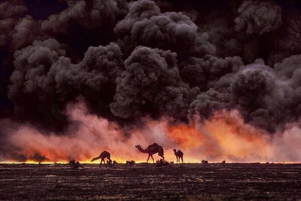 Impressive photograph by Steve McCurry, Camels and Oil Field . Kuwait, 1991