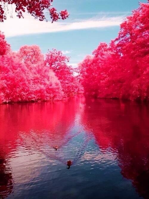 Cherry River, West Virginia, USA