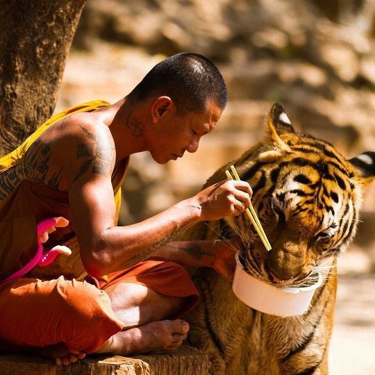 Harmony