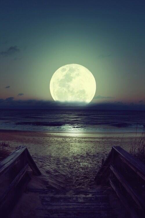 Can't fight the moonlight, Brazil