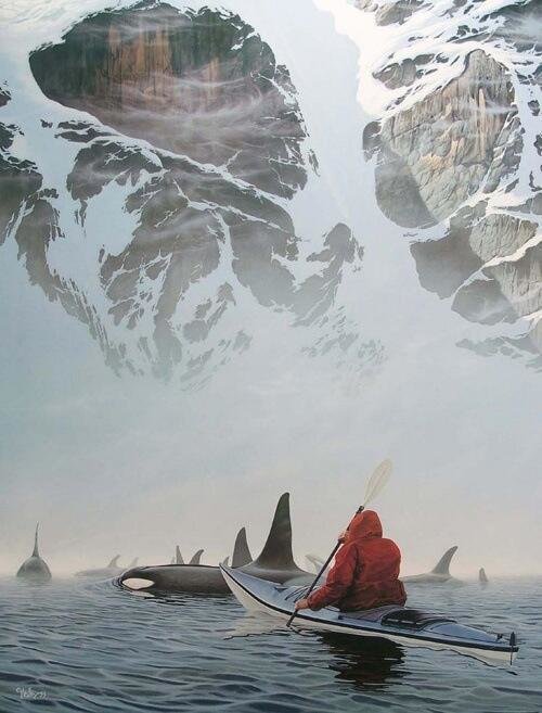 Sea Kayaking in Alaska