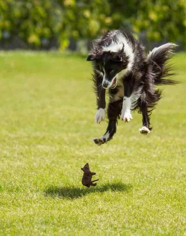 Girls reaction when they see a mouse
