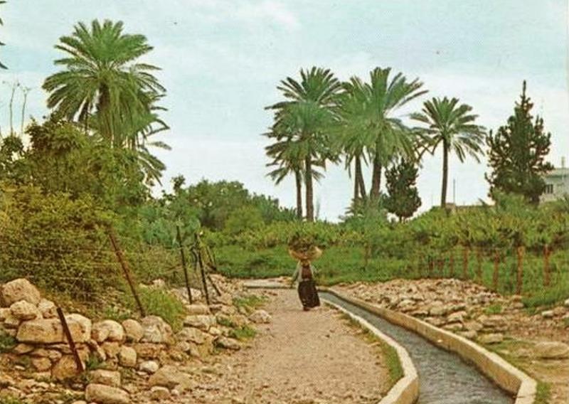 JERICHO - 1960s 3 - Pastoral scene