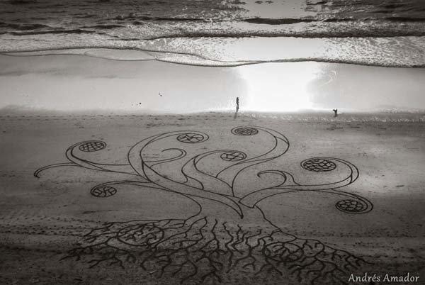 Andre Amador Beach Art