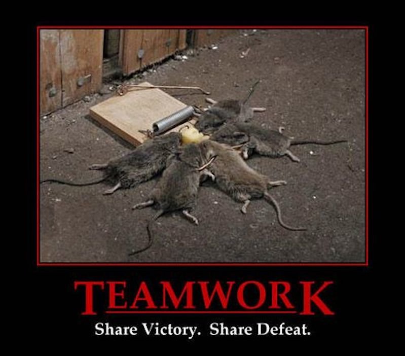 Team Work