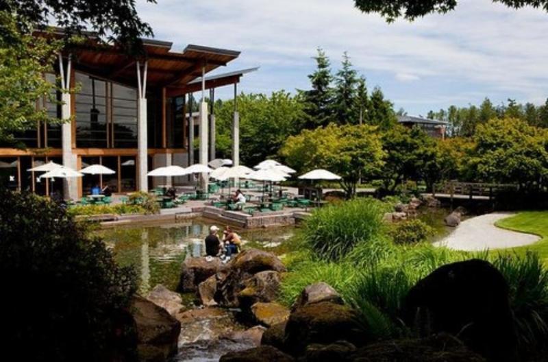 Great Tech Companies Offices #Microsoft