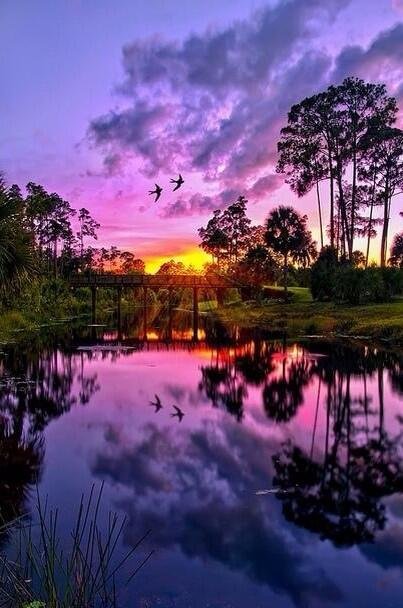 Purple sunset
