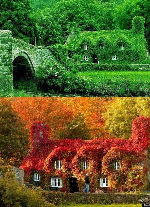 England, fairy tale cottage