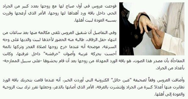 بالصورة - ردة فعل العروس بعد أن أهداها زوجها باقة من الجراد