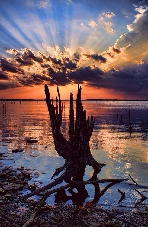 The Awakening ~ Australia