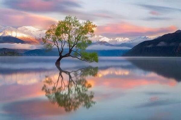 This was taken in New Zealand, a beautiful part of the awesome creation we live in.