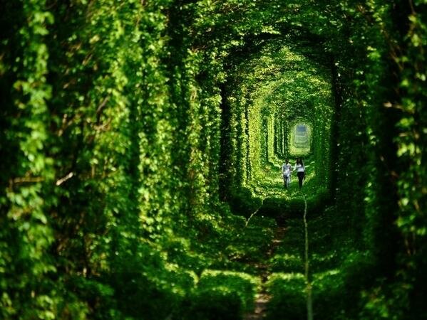 Tunnel of Love, Ukraine