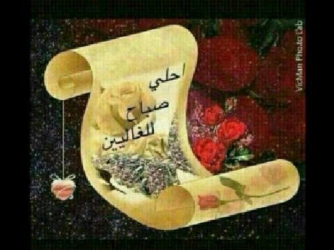 احلى صباح للغالين