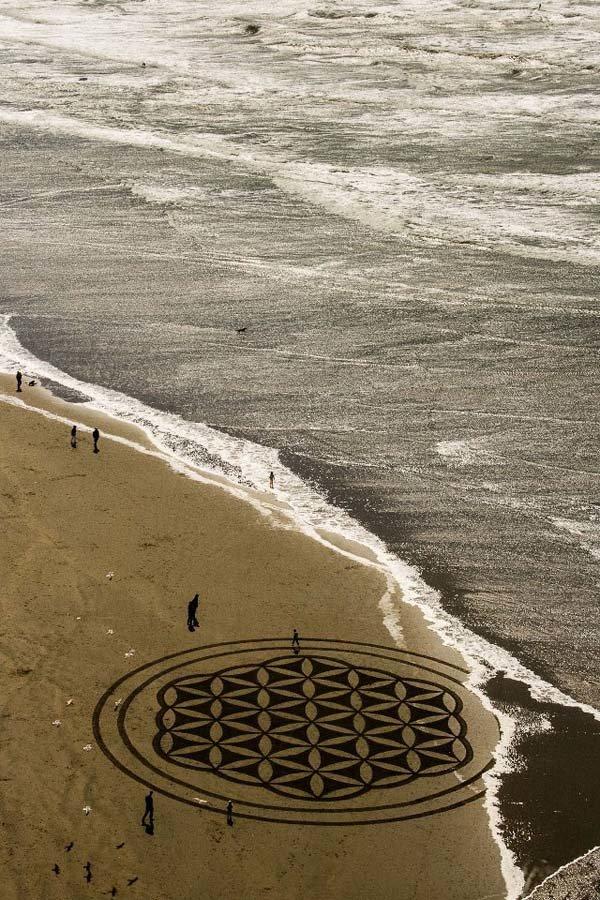 Andre Amador Beach Art