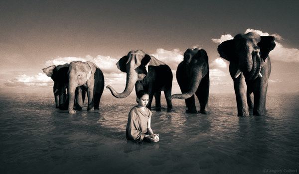 مصور يدمج صور بشر مع حيوانات تحت عنوان -Coming Together Like One - صورة ٢٥