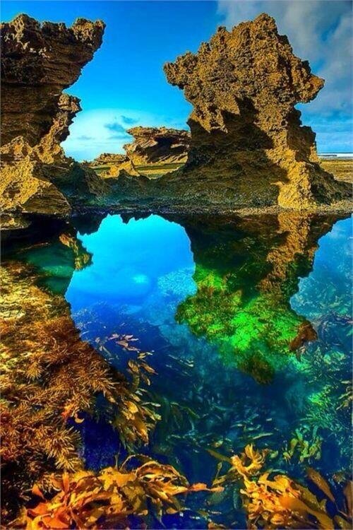 Sorrento Back Beach, Australia.