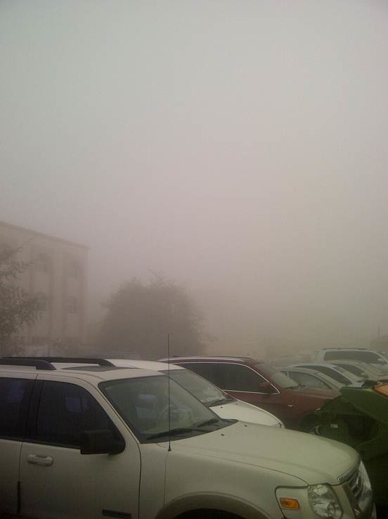 Abu Dhabi Fog