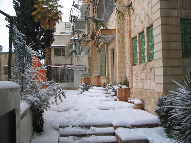 Snow In Amman