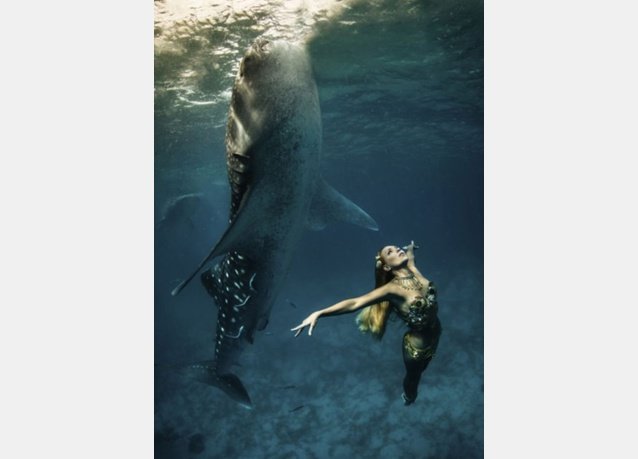 winner of the 2013 DEEP Indonesia international underwater photography competition 6