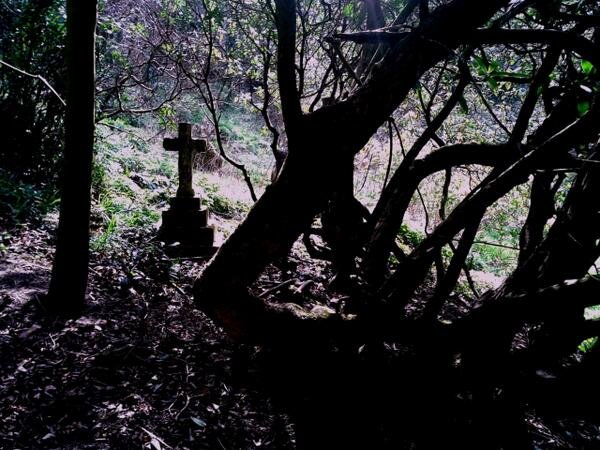 Centuries old cemetery being reclaimed by nature