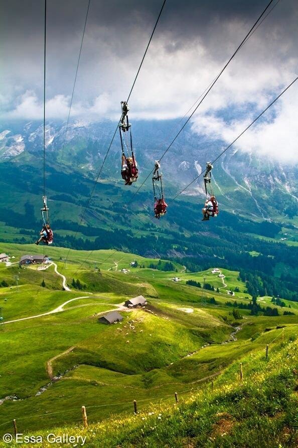 Ziplining in the Swiss Alps