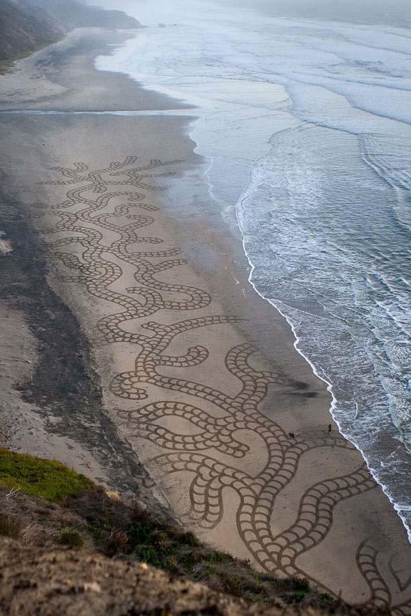 Andre Amador Beach Art