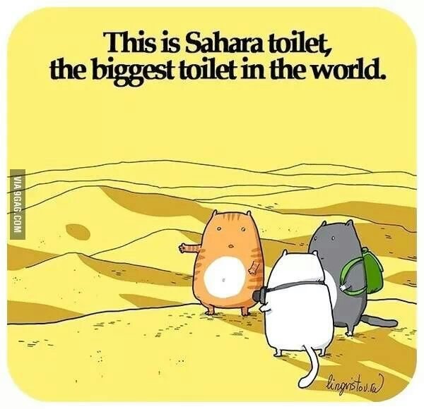 The biggest toilet in the world !