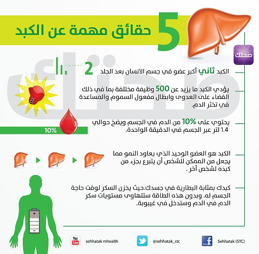 5حقائق تهمك عن الكبد #معلومات #إنفوجرافيك