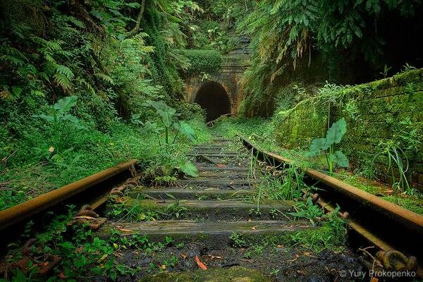 Abandoned railroad tracks