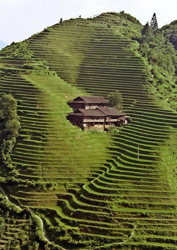 Longji Terrace, China