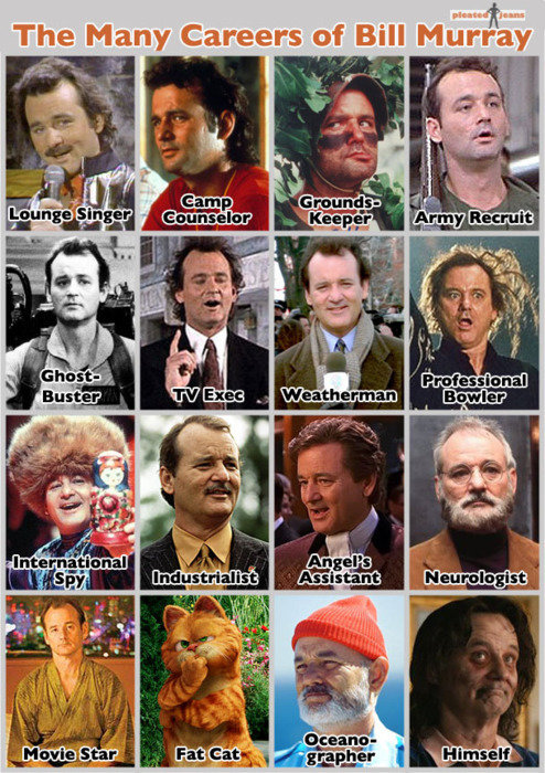 the many career of bill murray #infographic