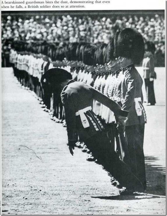 A British guardsman falls to the ground during Trooping the Colour ceremony, from heat exhaustion. London. 1957.