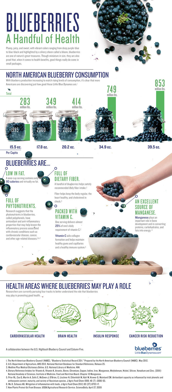 Blueberries: A handful of health #infographic