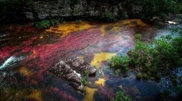 River of 5 colors, Colombia