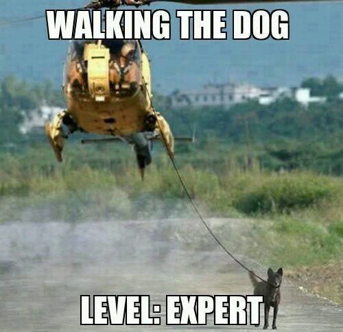 new way of walking the dog