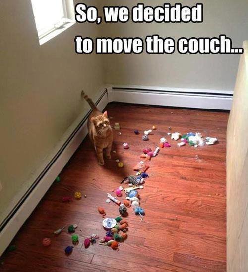 when they decided to move the couch they found...