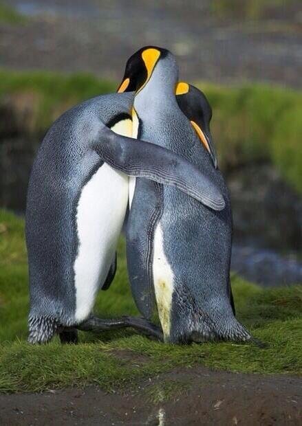 If this is love, then love is easy.