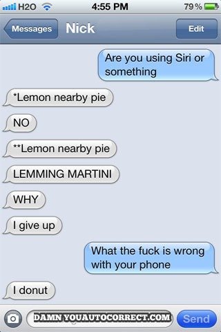  Funniest 'Damn You Auto Correct' 2013 - 21