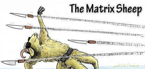 Latest production from Matrix movie: The Matrix Sheep!