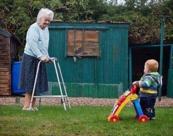The circle of life