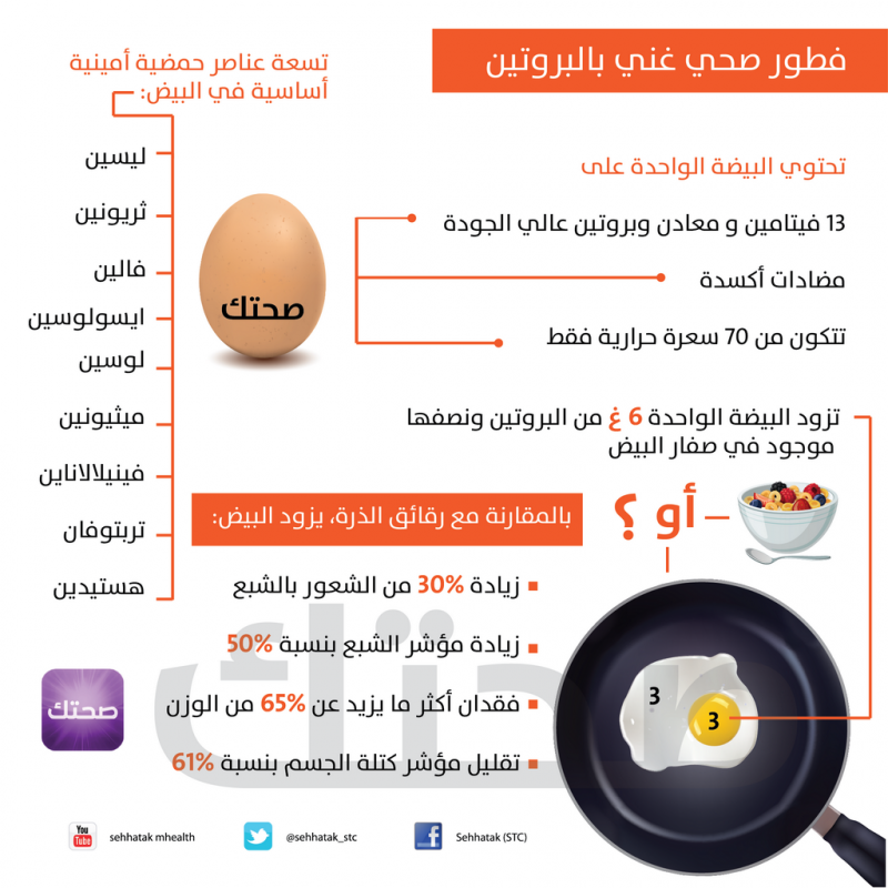 فطور صحي غني بالبروتين #معلومات #انفوجرافيك